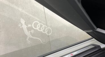 お勧め純正アクセサリー🦎