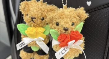 ﾏｲｽﾀｰﾍﾞｱ仲間が増えました💐🎀💞