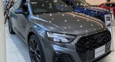 Audi SQ5 sport back✨🐻🚗