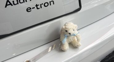 アクセサリー増えました🏁